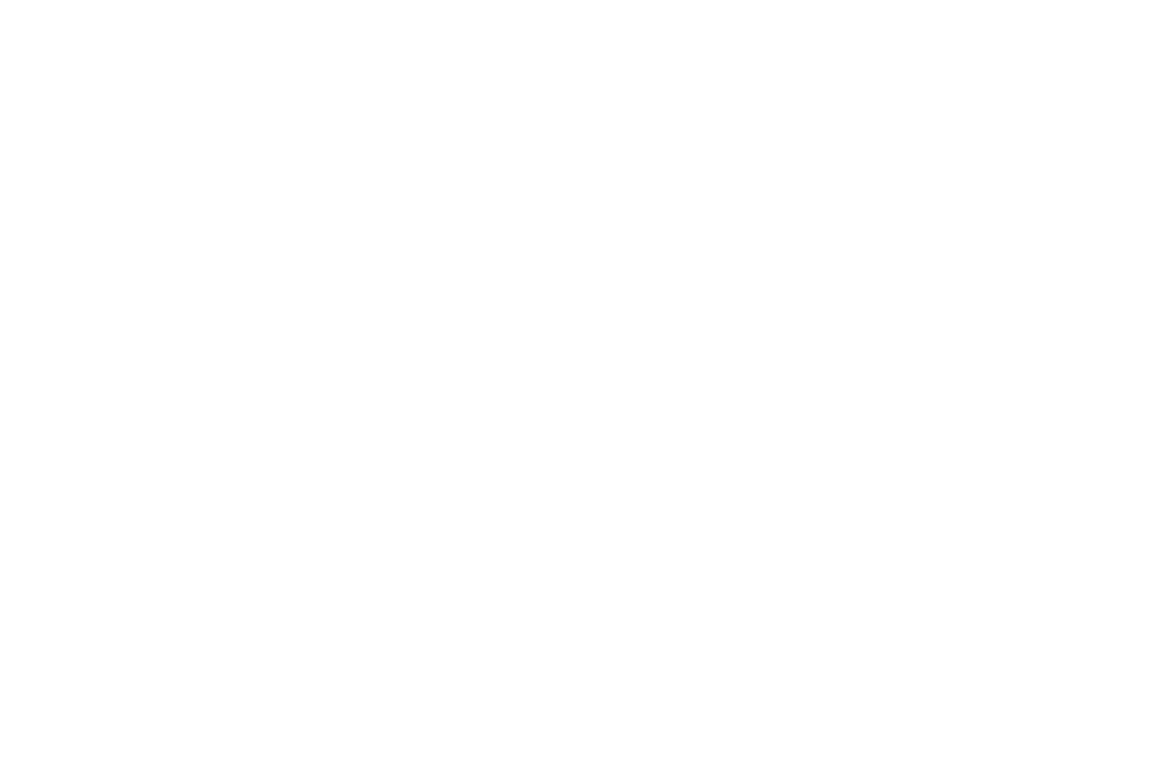 Otto Nemenz Logo — Transparent
